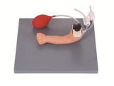 Infant Arteriopuncture Training Arm