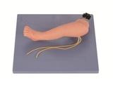 Infant Venipuncture Leg