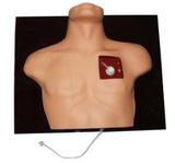 Venous Intervention Simulator