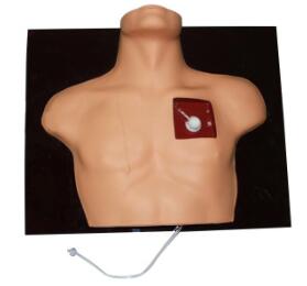 Venous Intervention Simulator