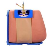 Lumbar Puncture Simulator