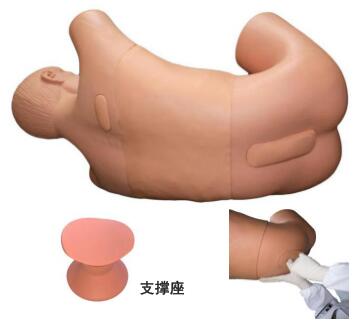 Lumbar Puncture Simulator