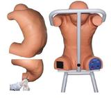 Electronic Pleural Puncture of Back Simulator