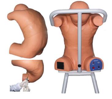 Electronic Pleural Puncture of Back Simulator