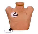 Thoracentesis Drainage Simulator