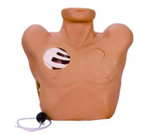 Thoracentesis Drainage Simulator