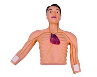 PICC Intervention Simulator