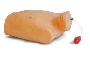 Central Venepuncture Intubation Training Simulator