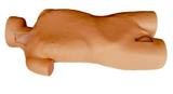 Central Venous Puncture and Catheterization Simulator