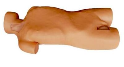 Central Venous Puncture and Catheterization Simulator