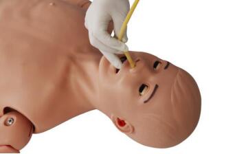 Sengstaken-Blakemore Tube Training Simulator