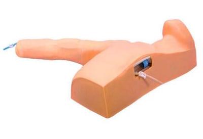 Peripheral Puncture and Central Venous Puncture Simulator