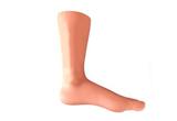 Ankle Joint Cavity Injection Simulator