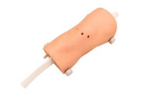Knee Arthroscopy Model