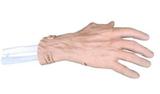 Hand Arthroscopy Model
