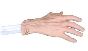 Hand Arthroscopy Model