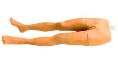 Great Saphenous Vein Transfusion Simulator