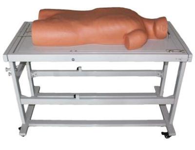 Abdominal Shifting Dullness Percussion and Abdominocentesis Simulator(B)