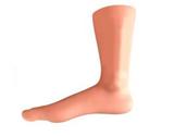 Ankle Arthroscopy Model
