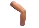 Elbow Arthroscopy Model