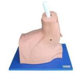 Shoulder Arthroscopy Model