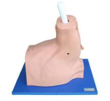 Shoulder Arthroscopy Model