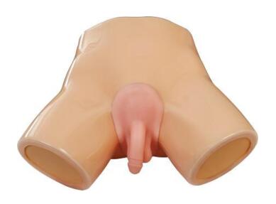 Male Genital Lesions Simulator
