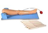 Advanced Bone Marrow Puncture and Femoral Venipuncture Simulator