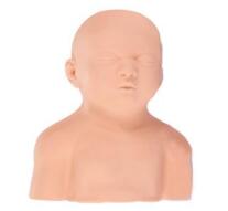 Infant Head Vein Injection Model