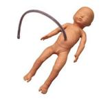 Neonatal Umbilical Cord Intubation Simulator