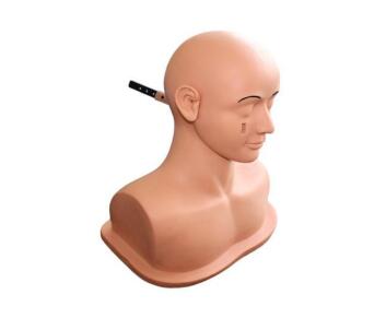Ear Diagnostic Simulator