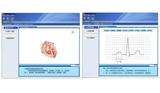 ECG Simulated Teaching System