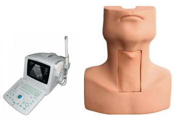 Ultrasound Guided Thyroid Biopsy Training Simulator