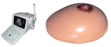 Ultrasound Guided Breast Biopsy Model