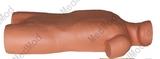 Bone Marrow Puncture Simulator