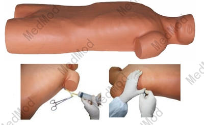Electronic Liver Abscess Puncture Simulator