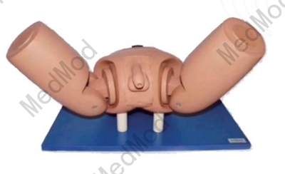 Urethral End-to-End Anastomosis Simulator