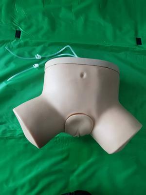Female Catheterization Simulator