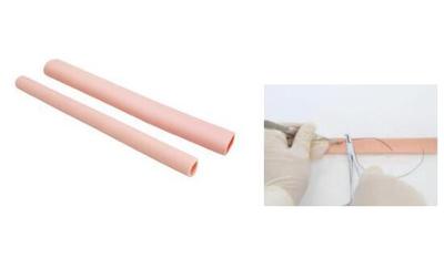 Intestinal Anastomosis Module