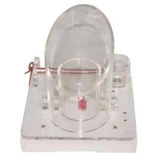 Multifunction Electronic Knotting Training Module