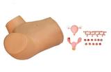 Gynecological Examination Simulator