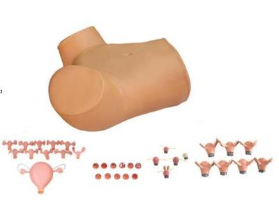 Gynecological Examination Simulator