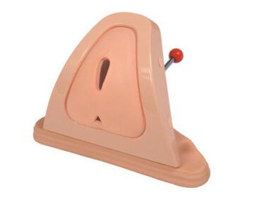 Perineum Cutting & Suturing Training Simulator Item