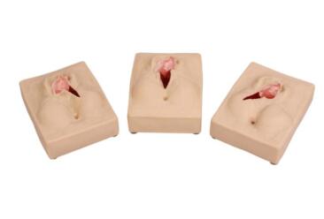 Perineum Suturing Training Model