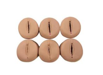 Prenatal Cervix and Birth Canal Model