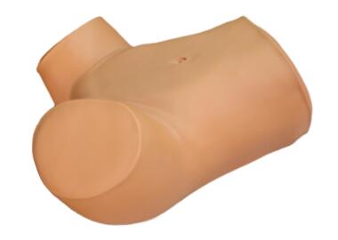 Leopold’s Maneuver, Anal and Vaginal Examination Simulator