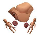 Advanced Childbirth Skill Training Simulator