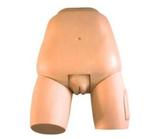 Fundus of Uterus Exam.& Evaluation Simulator