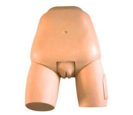 Fundus of Uterus Exam.& Evaluation Simulator