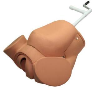 Advanced Childbirth Education Training Simulator